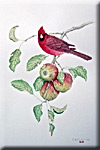 "Cardinals with Wild Apples"