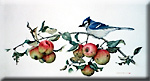 " Blue Jay and Wild Apples"
